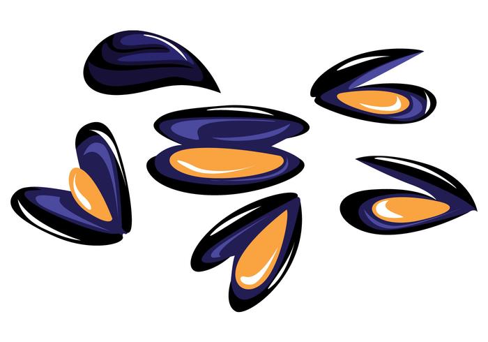 Mussel Vector