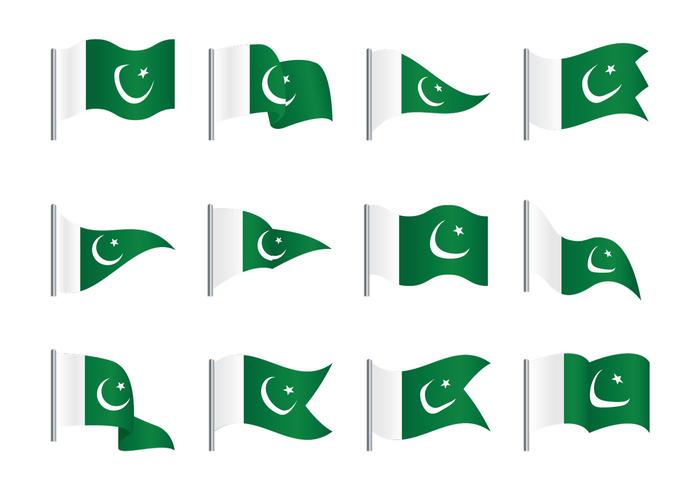 Bandera de Pakistán vector