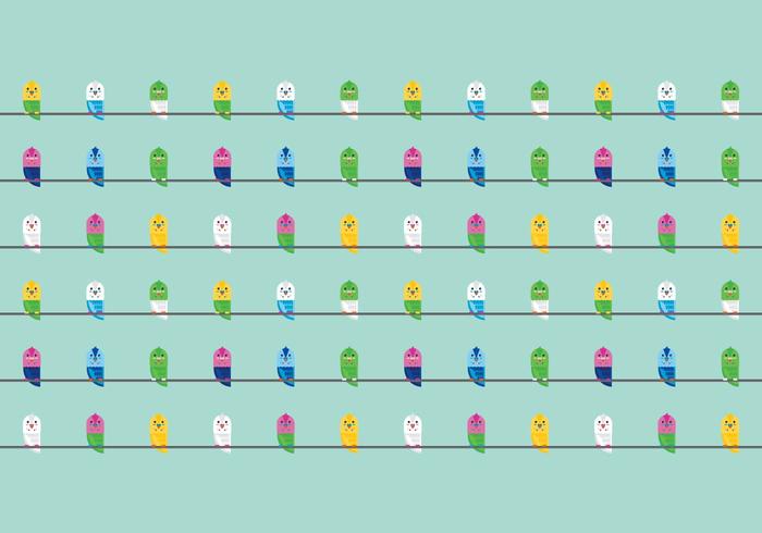 Free Vector Budgies Pattern