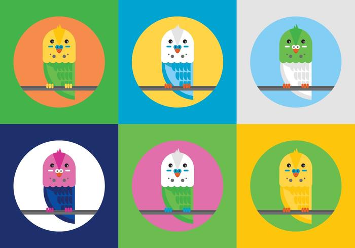 Free Budgies Vector Illustrations