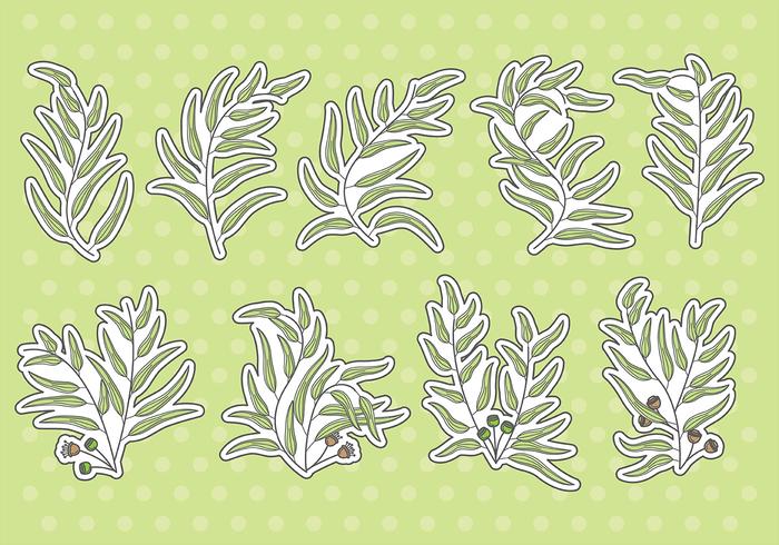 Eucalyptus Vector Icons Eucalyptus Vector Icons