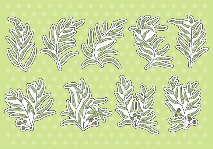 Eucalyptus Vector Icons