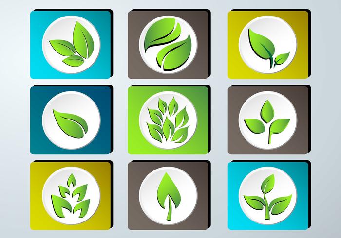 Set of green leaves design icon set Set of green leaves design icon set
