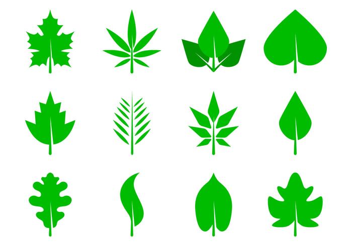 Free Leaves Icon Vector