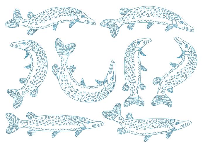 Pike icons Pike icons