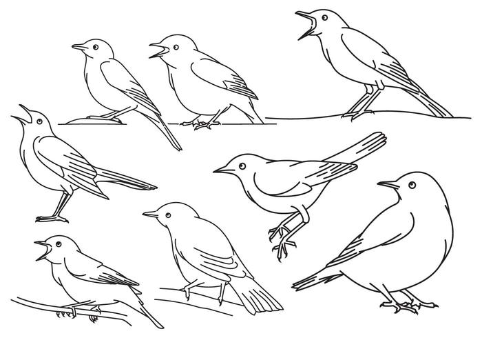 Nightingale Outline Set vector