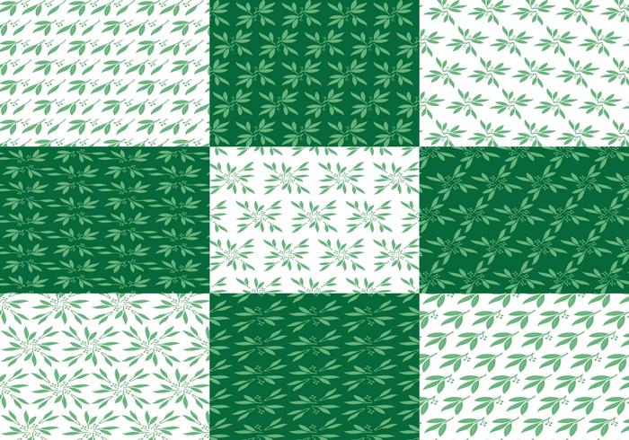 Eucalyptus Pattern Eucalyptus Pattern