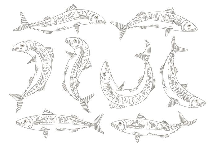 Mackerel icons vector