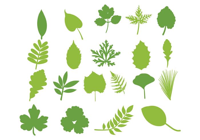 Hojas Vector Leaf Set