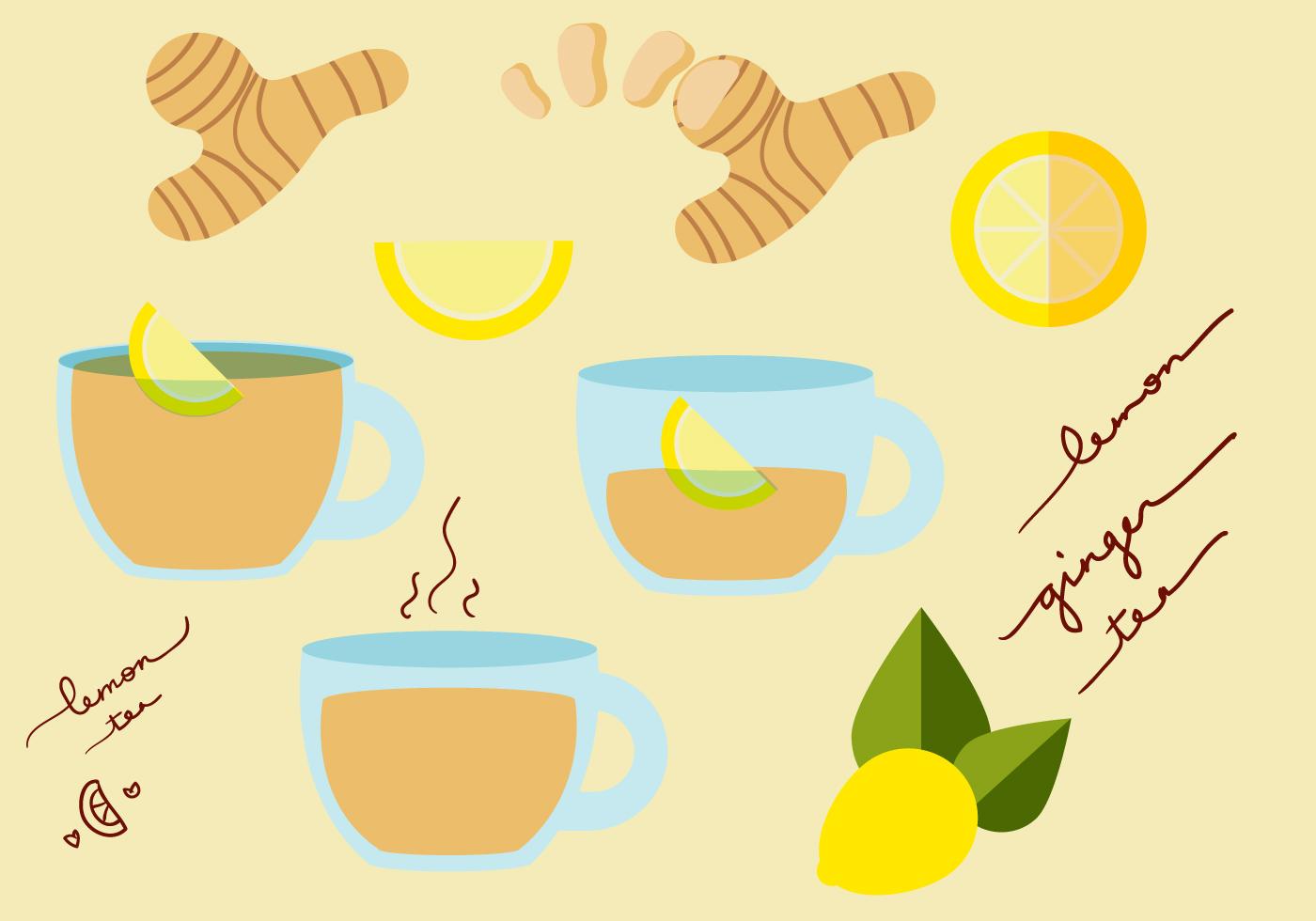 Ginger Tea Vector Set 114847 Vector Art at Vecteezy