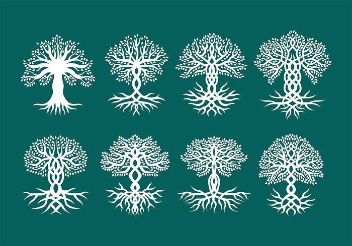 Celtic Trees Vectors Celtic Trees Vectors