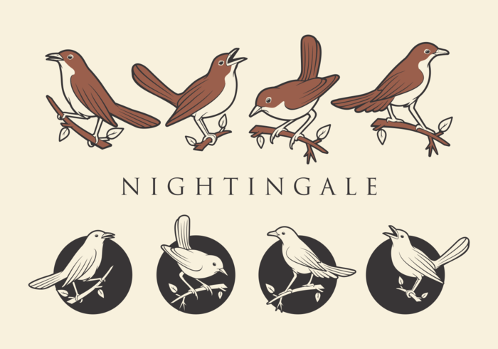 NIGHTINGALE VECTORS