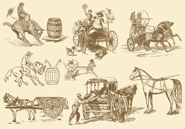 Horse Leisure And Transport vector