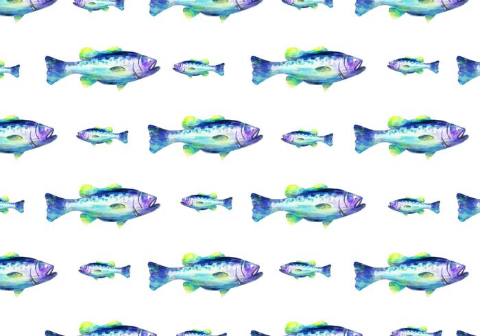 Free Vector Watercolor  Bass Fish Background