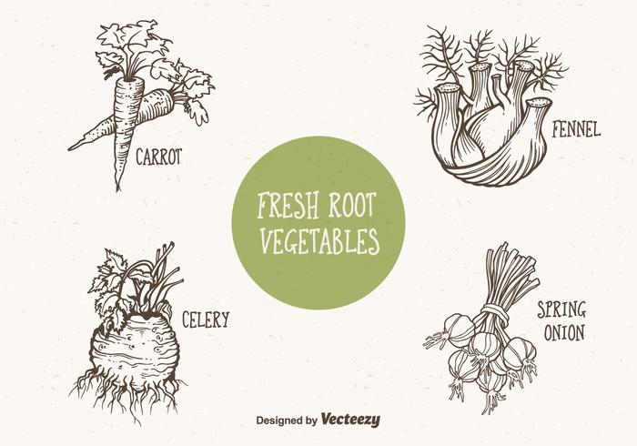 Doodle Drawn Root Vegetables Vector