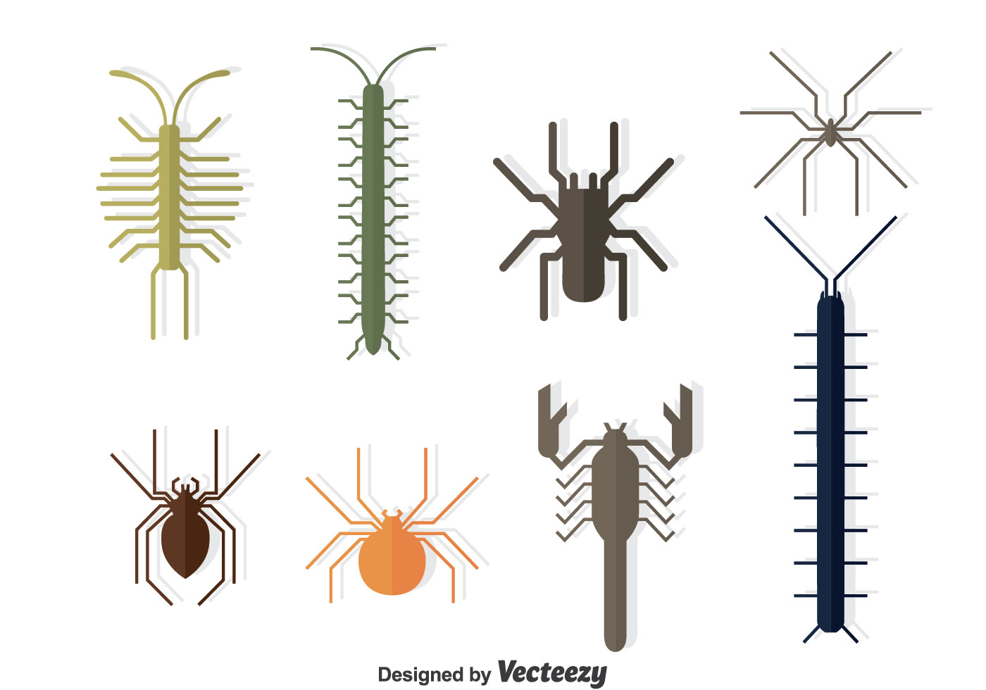 Bugs Collection Vector 115166 Vector Art at Vecteezy