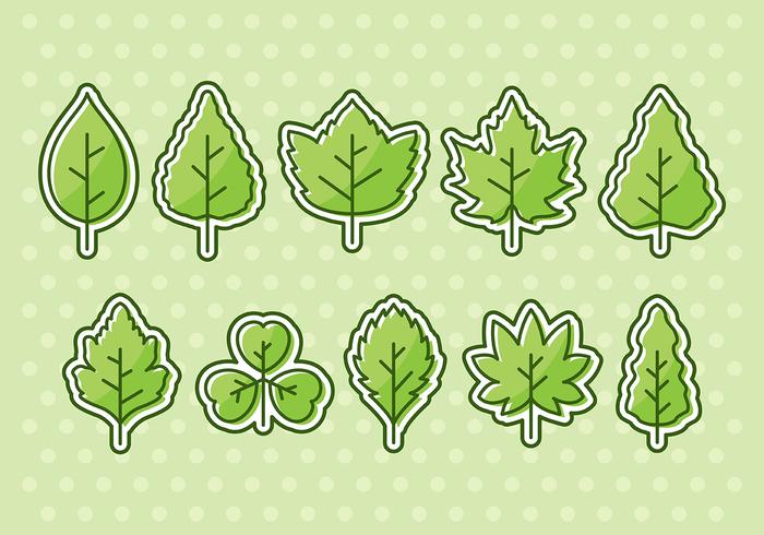 Vector Hojas Icons Vector Hojas Icons
