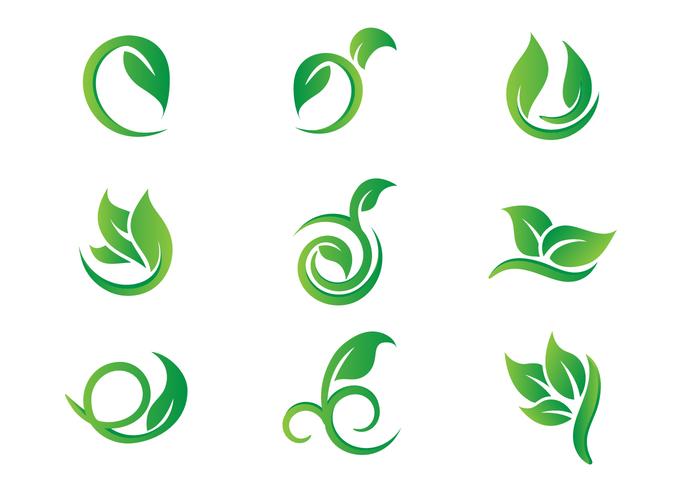Free Leaf Hojas Logo Vectors Free Leaf Hojas Logo Vectors