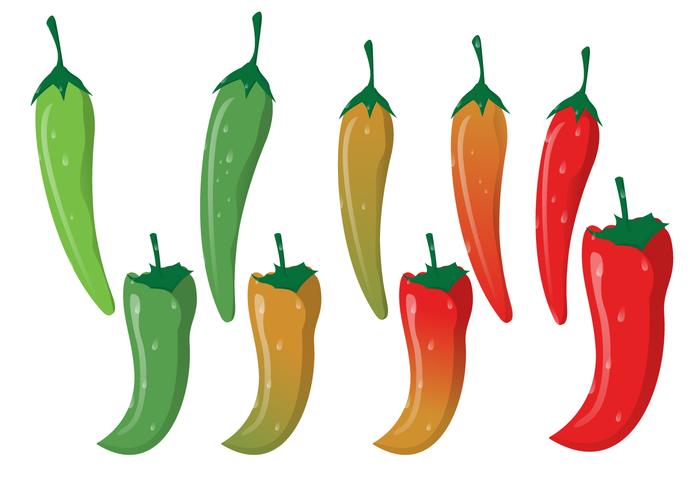 Red Hot Chili With Green Curved Stalk  vector