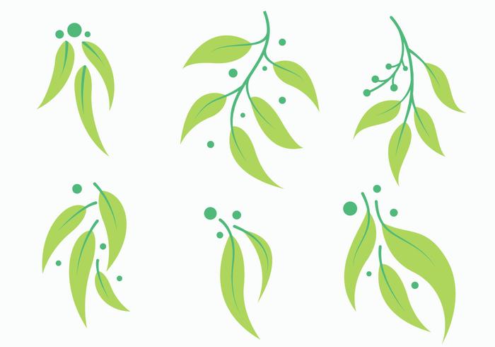 Free Eucalyptus Vector 1