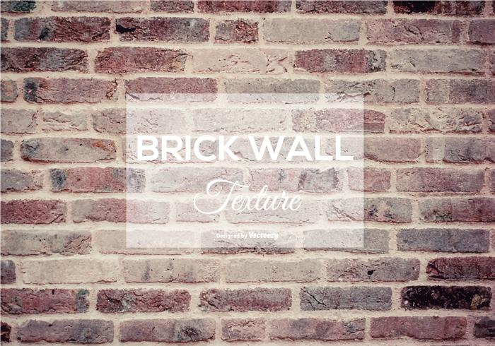 Brick Wall Texture vector