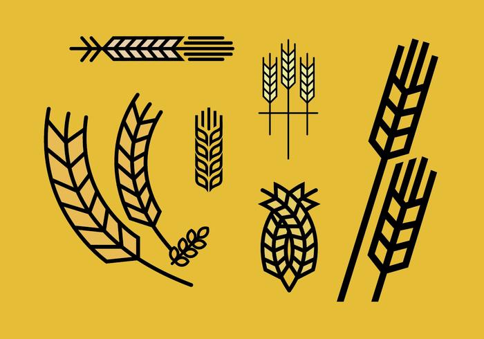 Wheat stalk vector set 2 Wheat stalk vector set 2