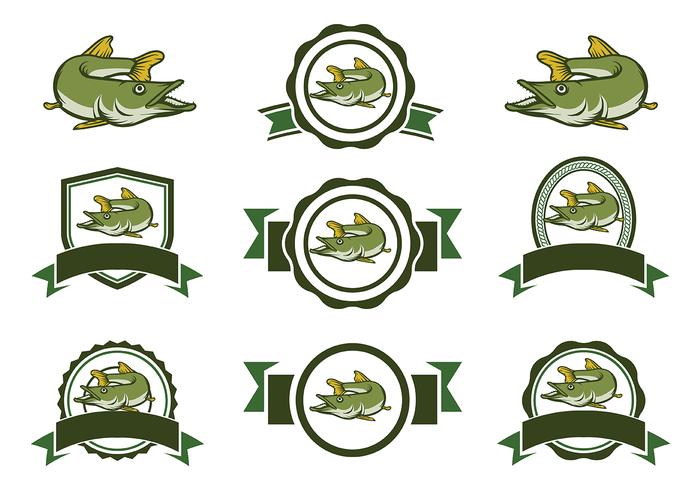 Pike Fish Vector Pike Fish Vector