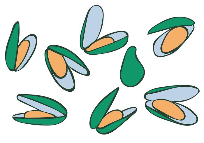 Mussel Vector Mussel Vector