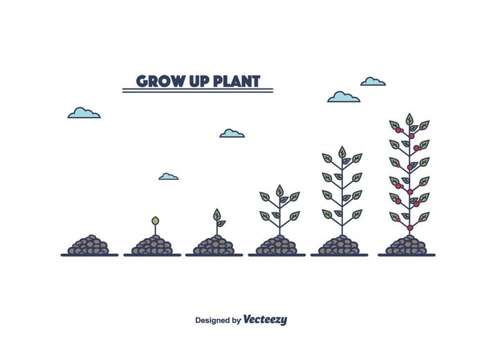 Crecer vector de la planta