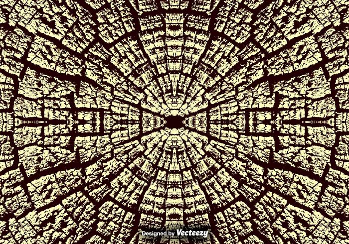 Cracked Natural Wood Texture  Tree Rings Vector Background