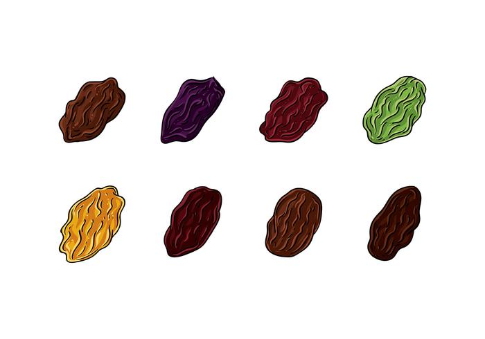 RAISINS VECTOR RAISINS VECTOR