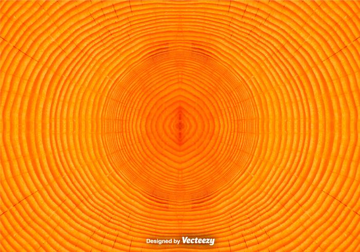 Tree Rings Background  Vector Tree Trunk Background