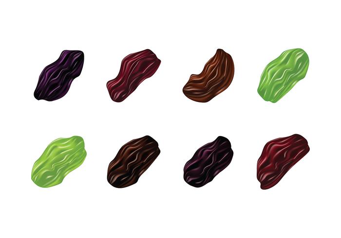 RAISIN VECTOR REALISTIC