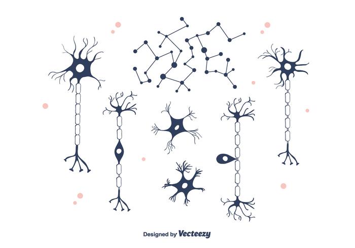 Vettore Dei Neuroni Scarica Immagini Vettoriali Gratis Grafica Vettoriale E Disegno Modelli
