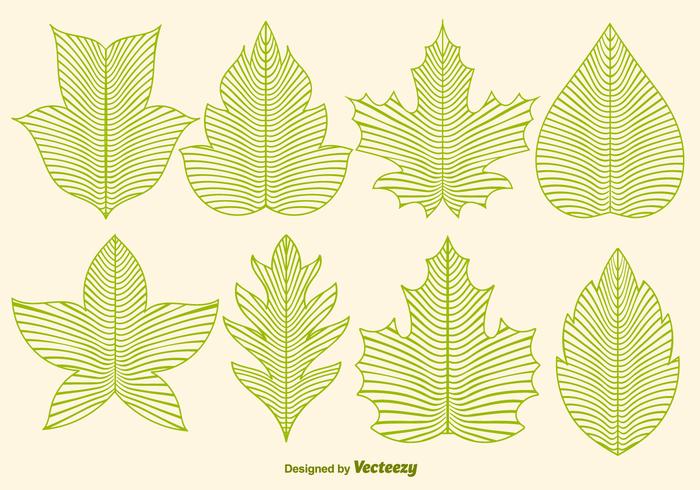 Vector Leaf Icons In Line Style