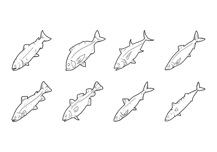 Hand Drawing Consumable Fish Vector