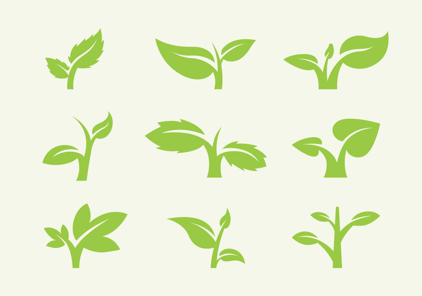 Leaf Icon Vectors 116118 Vector Art at Vecteezy