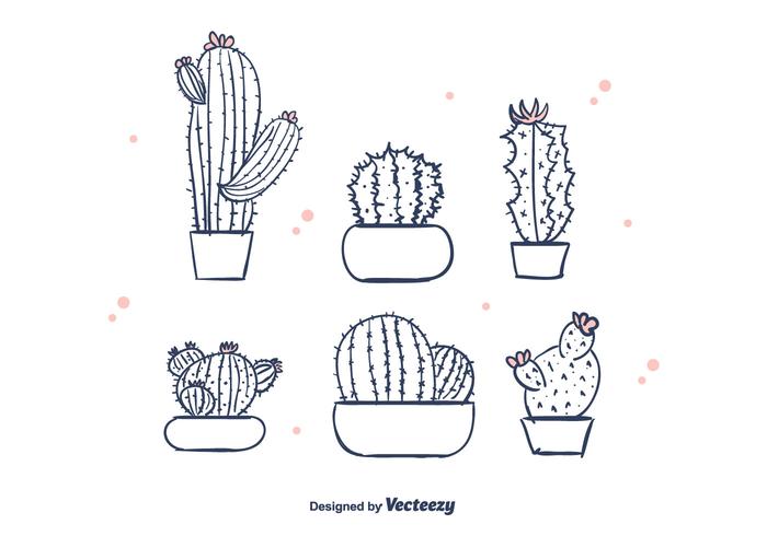 Hand Drawn Cactus Vector