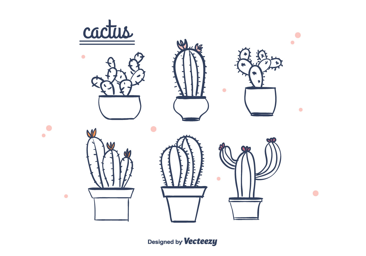Hand Drawn Cactus  Vector Download Free Vector Art Stock 