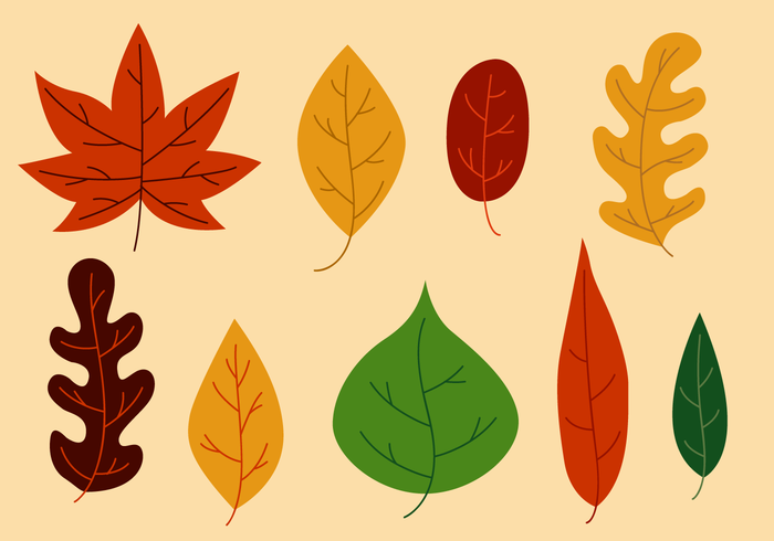 Free Leaves Vector
