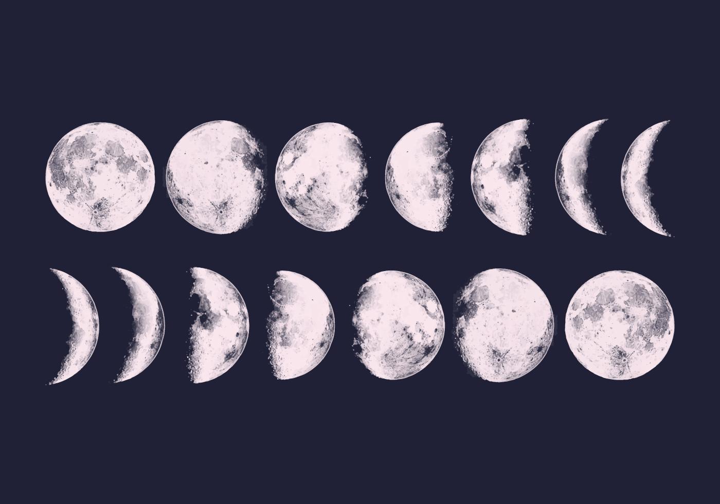 Vector Moon Phases.