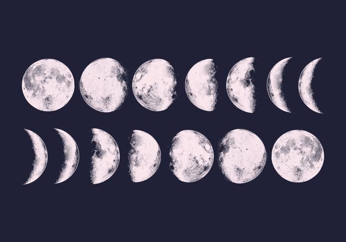 Vector Moon Phases