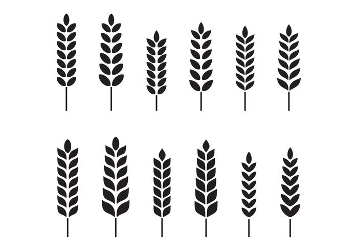 Free Wheat Vector