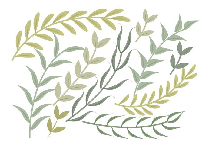 Vector Green Branches Set