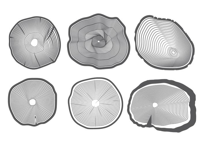 Tree Rings Vector