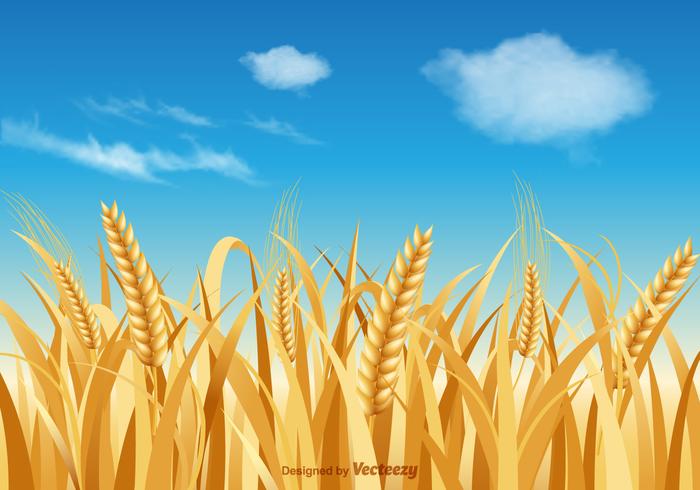 Free Wheat Stalk Vector Landscape