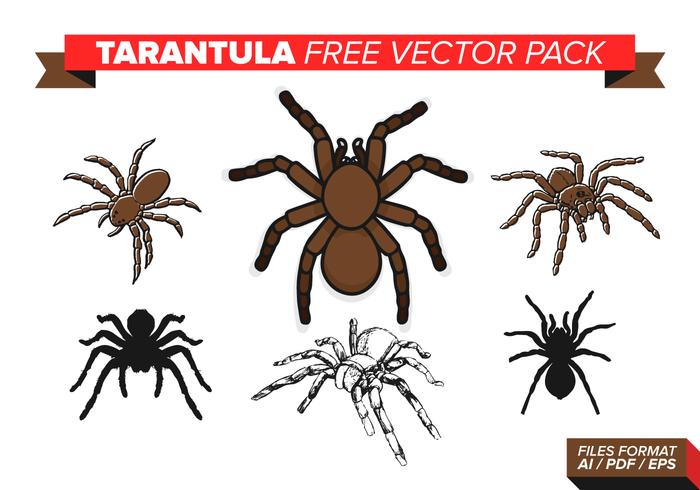 Tarantula Free Vector Pack Tarantula Free Vector Pack