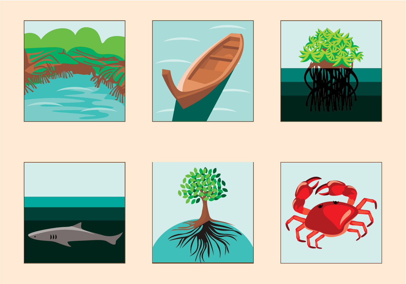 Download Mangrove Vector 116830 Vector Art at Vecteezy