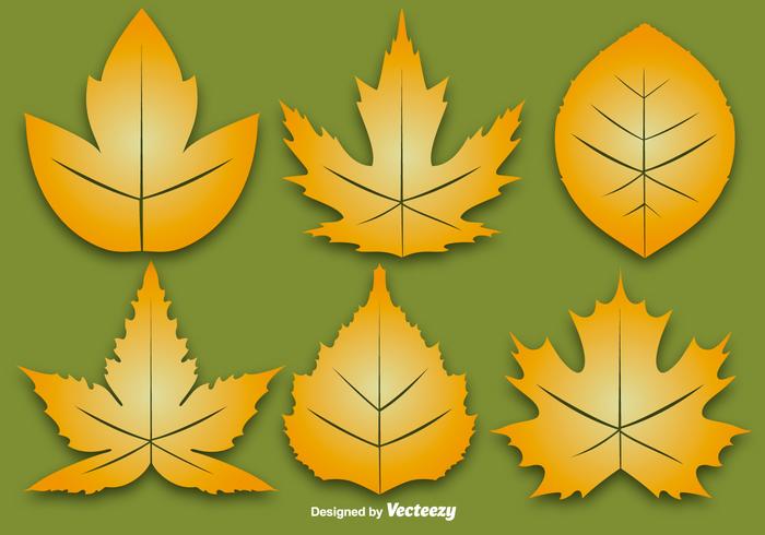 Vector Set Of Six Autumn Leaf Vector Set Of Six Autumn Leaf