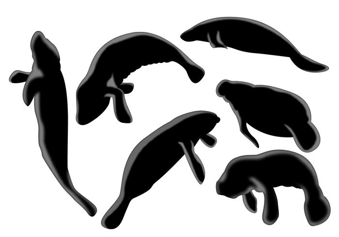 Manatee Silhouette Vector set